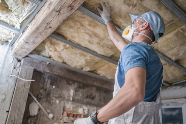 Best Residential Insulation Services  in Duquesne, MO