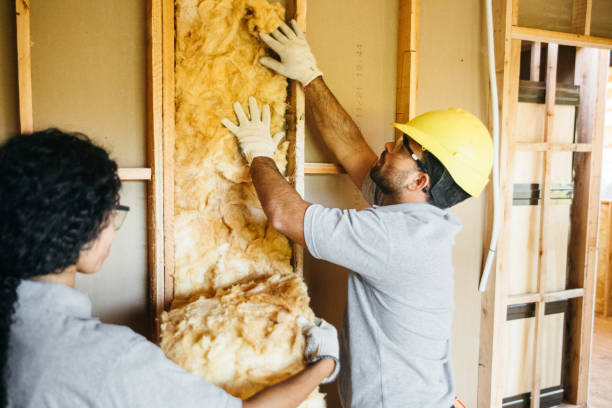 Best Wall Insulation Contractor  in Duquesne, MO