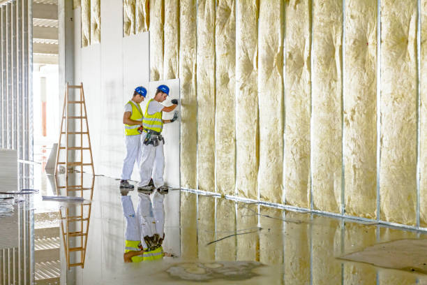 Attic Insulation Near Me in Duquesne, MO